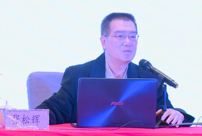 张松辉-湖南大学岳麓书院教授